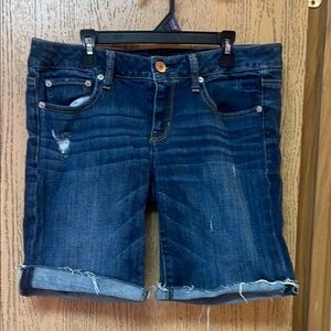 American Eagle Stretch Denim Shorts
